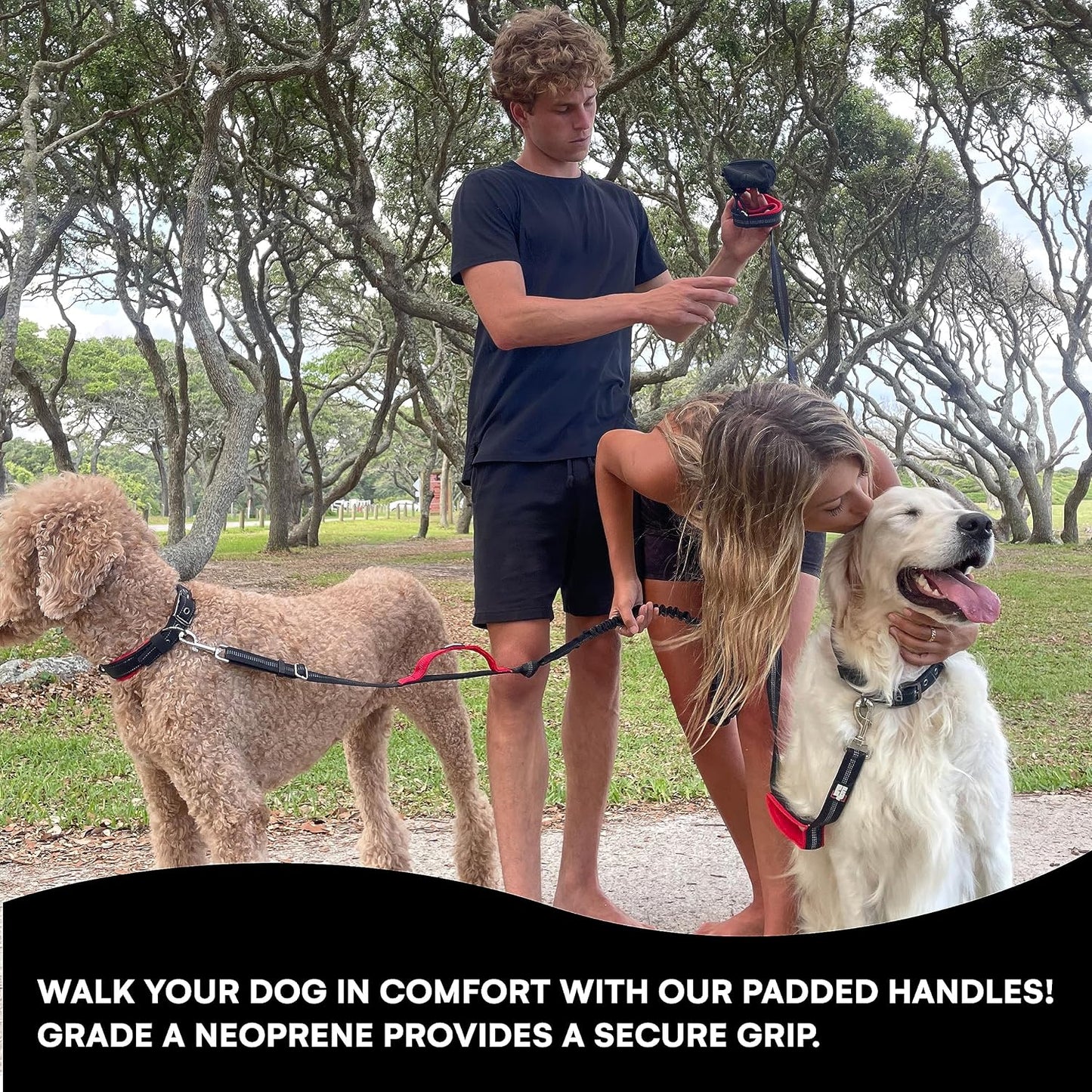 6 Ft Long Heavy Duty Dog Leash with Traffic Handle for Medium and Large Dogs - Padded Neoprene Dual Handles, Bag and Clip - Reflective, Durable, and Weather Resistant - Green