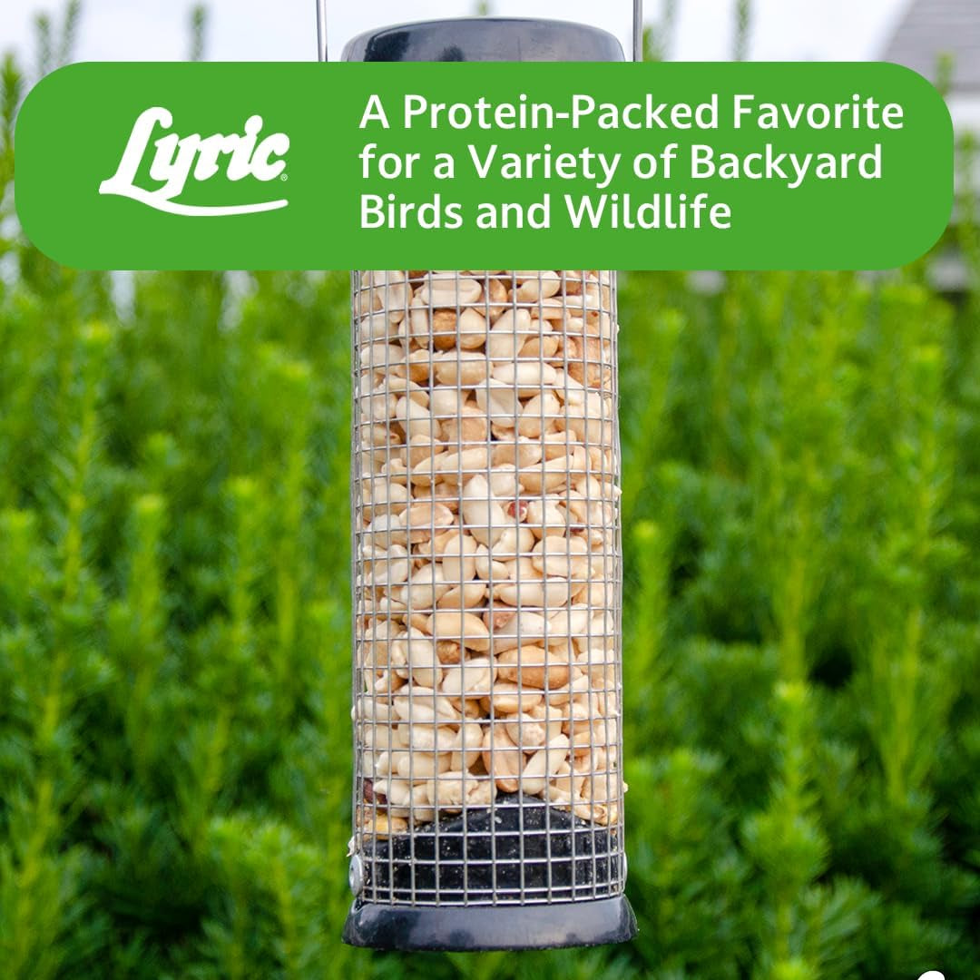 Peanut Pieces Wild Bird Seed 15 Lb Bag - Shelled Peanuts Wild Bird Food for outside Feeders - Attracts Titmice, Woodpeckers, Chickadees & More | Peanut Pieces Wild Bird Seed - Shelled Peanuts, 15 Lb. Bag
