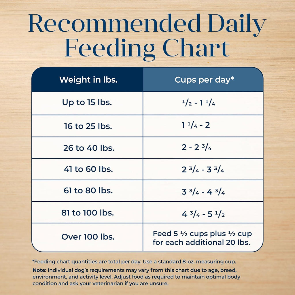 Basics Salmon Adult Grain-Free Dry Dog Food, 22 Lb | Skin & Stomach Care, Real Salmon #1 Ingredient, Limited Ingredient Diet, Antioxidant-Rich Lifesource Bits, Skin & Coat Health