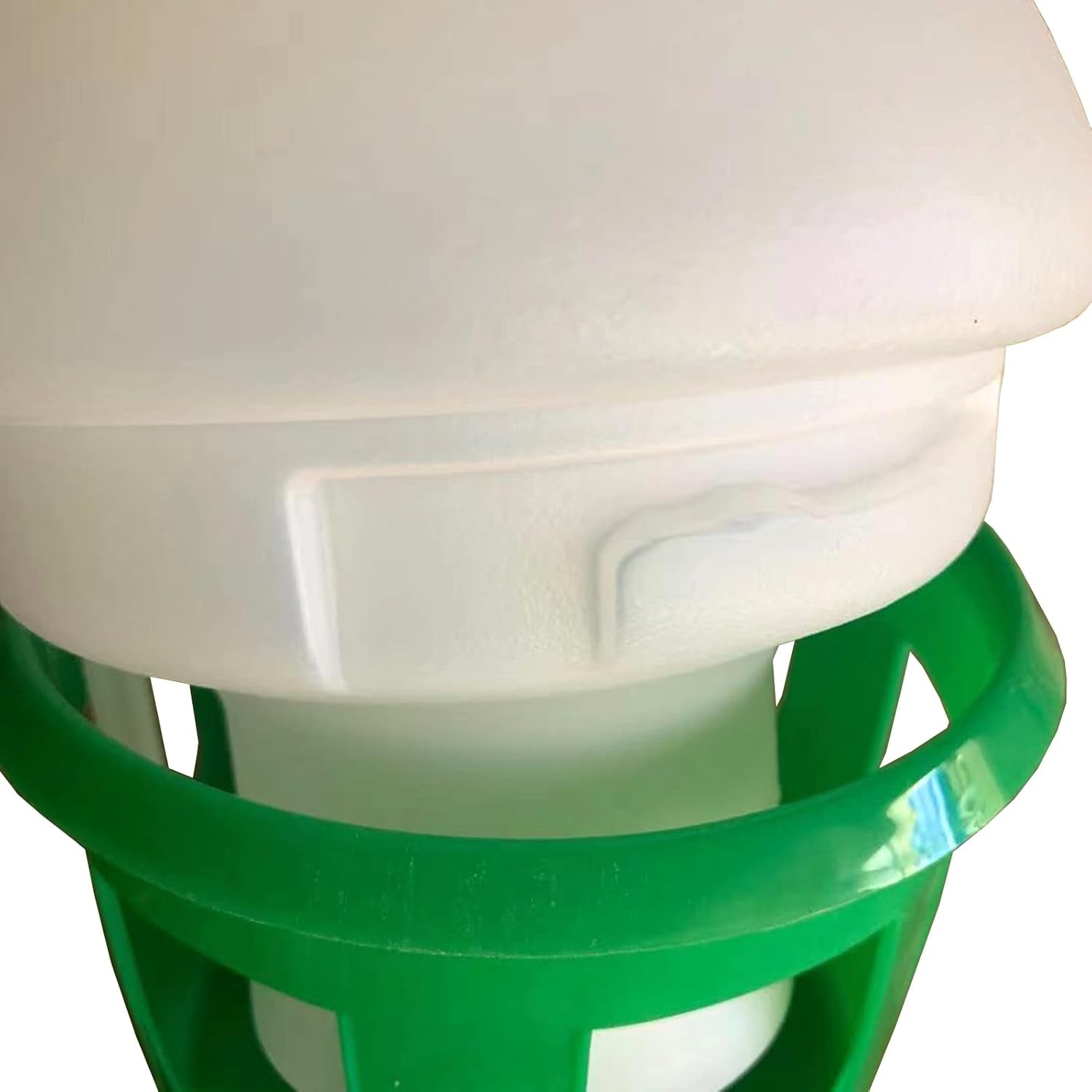 SRRPS PIGEON, Pigeon Water Dispenser Drinker Bird Water Drinker 1.5L Automatic Feeders Water Dispenser Dove Drinker