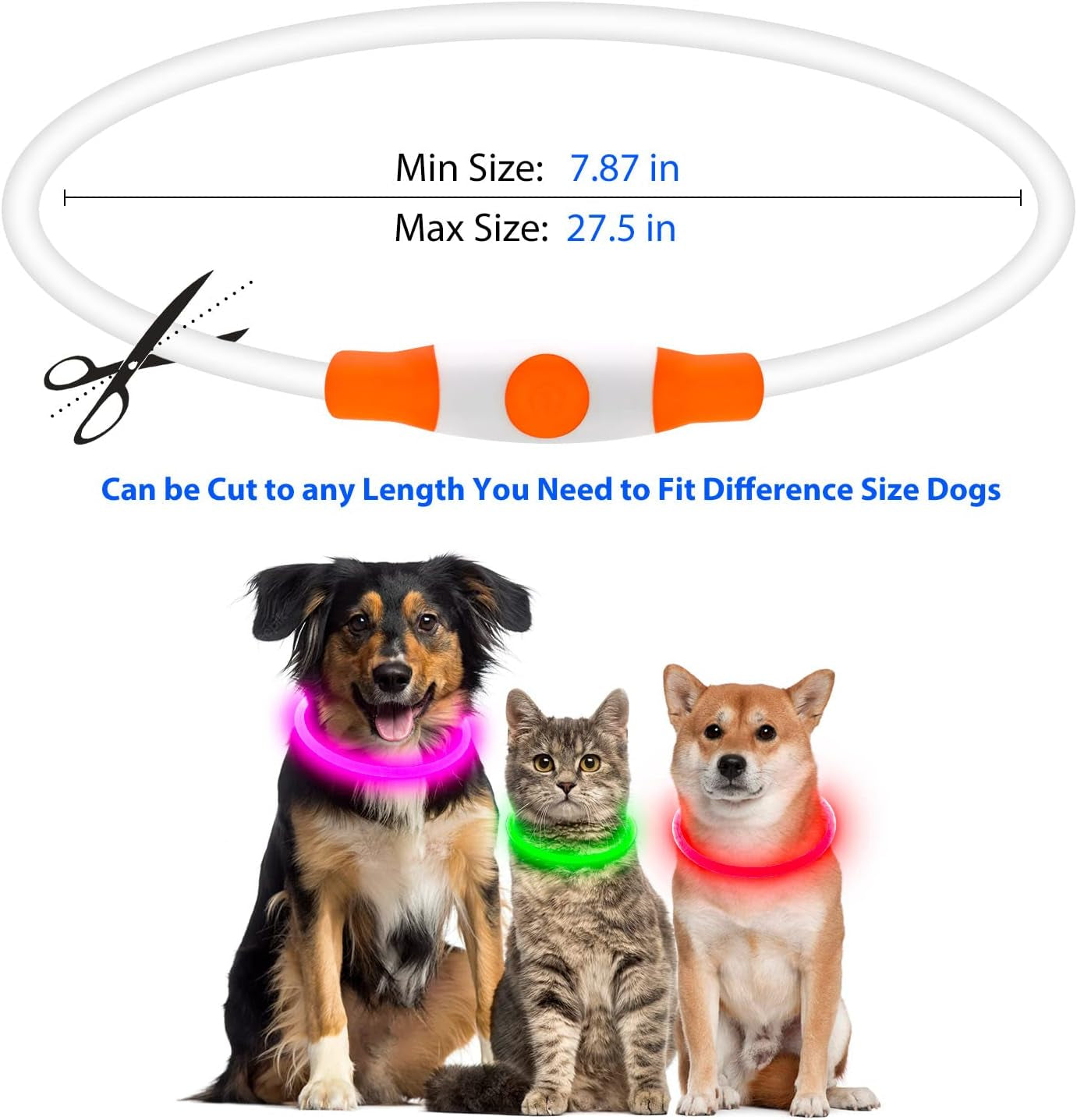 LED Dog Collar, USB Rechargeable Glowing Lighted up Collar | Cuttable Water-Resistant TPU Safety Collar Lights for Small Medium Large Dogs