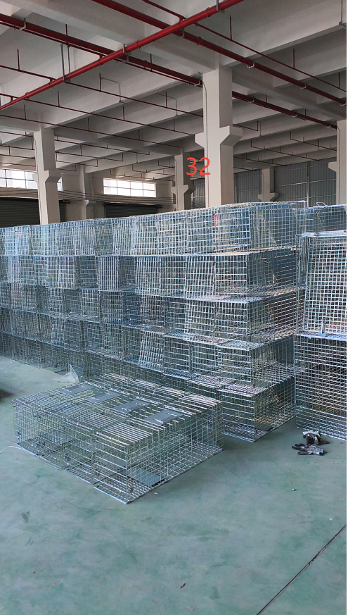 531608887-3