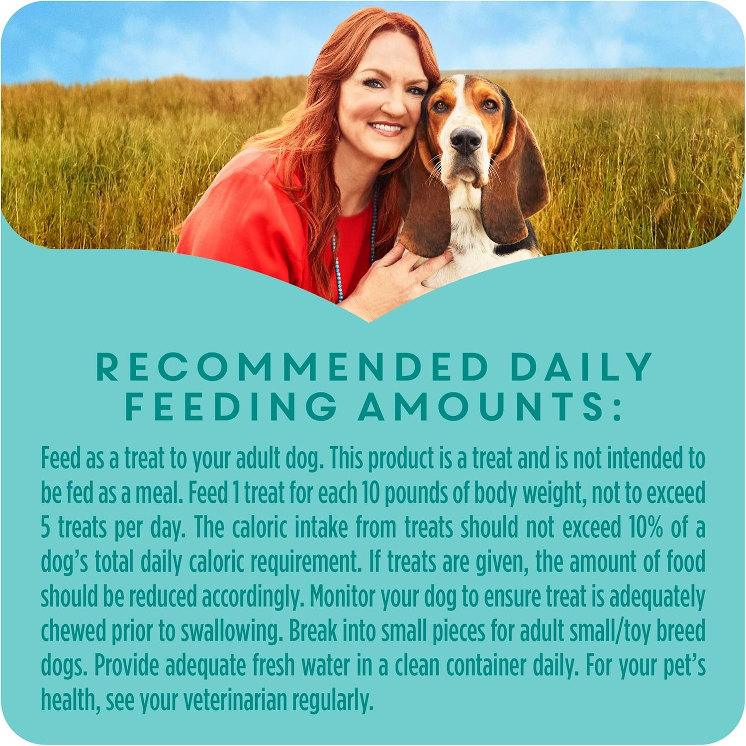 Natural Jerky Grain Free Dog Treats, Chicken & Apple Recipe Jerky Strips - 16 Oz. Pouch
