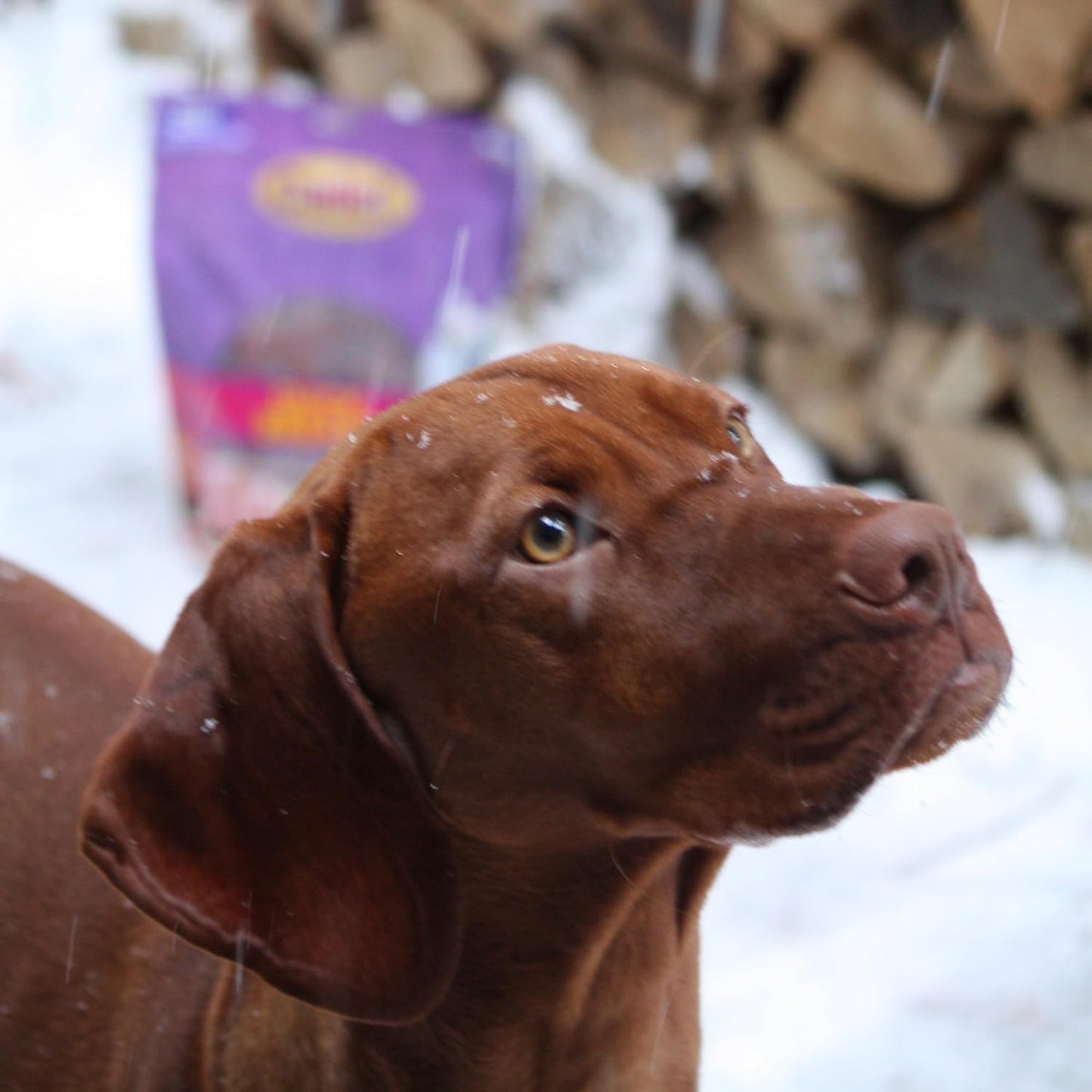 Gourmet Duck Breast Dog Jerky Treats, 2.5 Lbs | Made with Real Duck, Dog Treats for Training, High Protein, Natural & Healthy Dog Treats for Small & Large Breeds