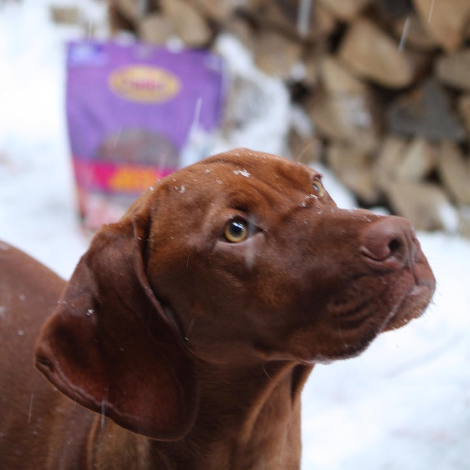 Gourmet Duck Breast Dog Jerky Treats, 2.5 Lbs | Made with Real Duck, Dog Treats for Training, High Protein, Natural & Healthy Dog Treats for Small & Large Breeds
