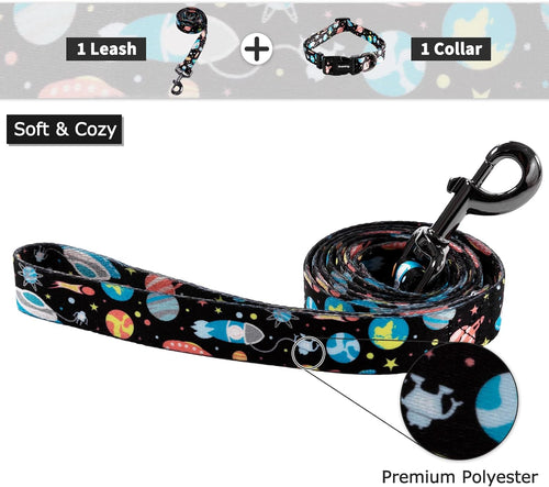 Dog Collar and Leash Set for Small Dogs & Cats, up to 20 Lbs | Soft Splicing Design, Adjustable Durable Pet Collar Leash for Everyday Walks, Training, and Outdoor Activities