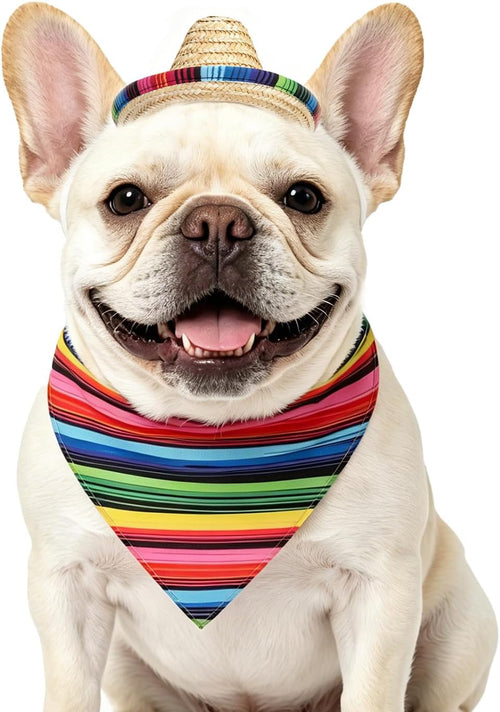 Mexican Day of the Dead Dog Bandana with Pet Sombrero Hat Colorful | Pet Halloween Oufits Costumes Decorations Supplies for Small Medium Large Dogs Boy Girl Gifts