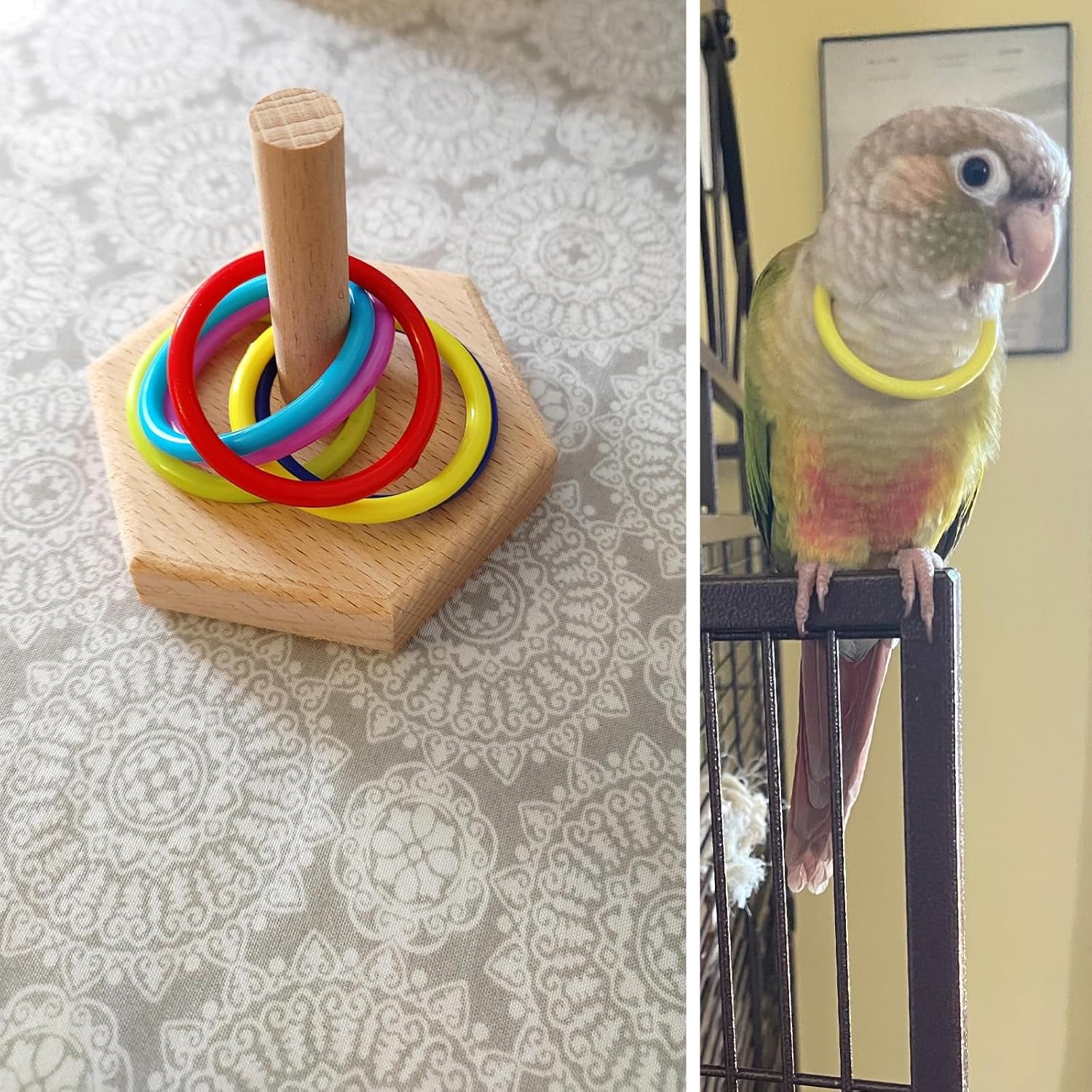 Bird Tabletop Toy, Parrot Activity & Training Trick Color Ring Toys | Budgie Natural Wood Training Gym, Sturdy Chewed Rings, Educational Stacking Playing Toy for Conure Cockatiel, Easy to Install