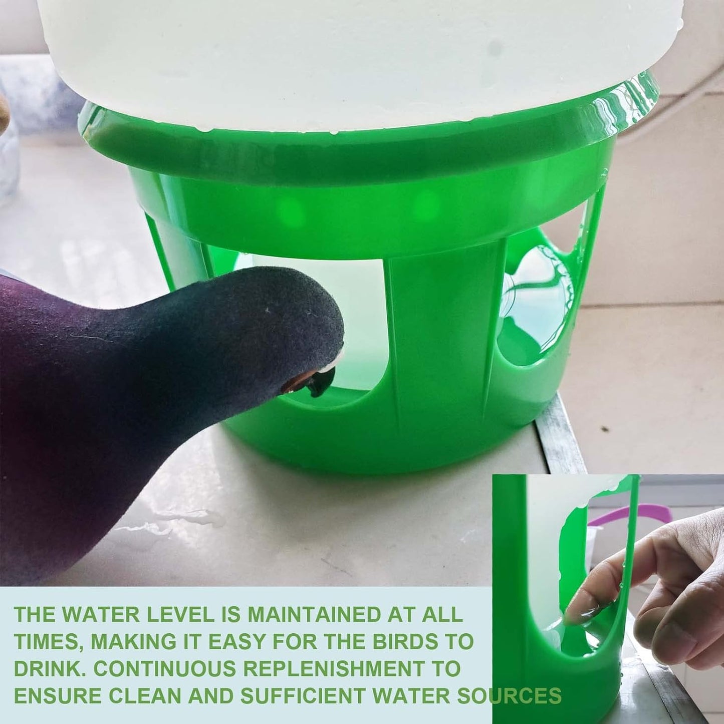 SRRPS PIGEON Pigeon Water Dispenser Drinker Bird Water Drinker 2.5L Automatic Feeders Water Dispenser Dove Drinker