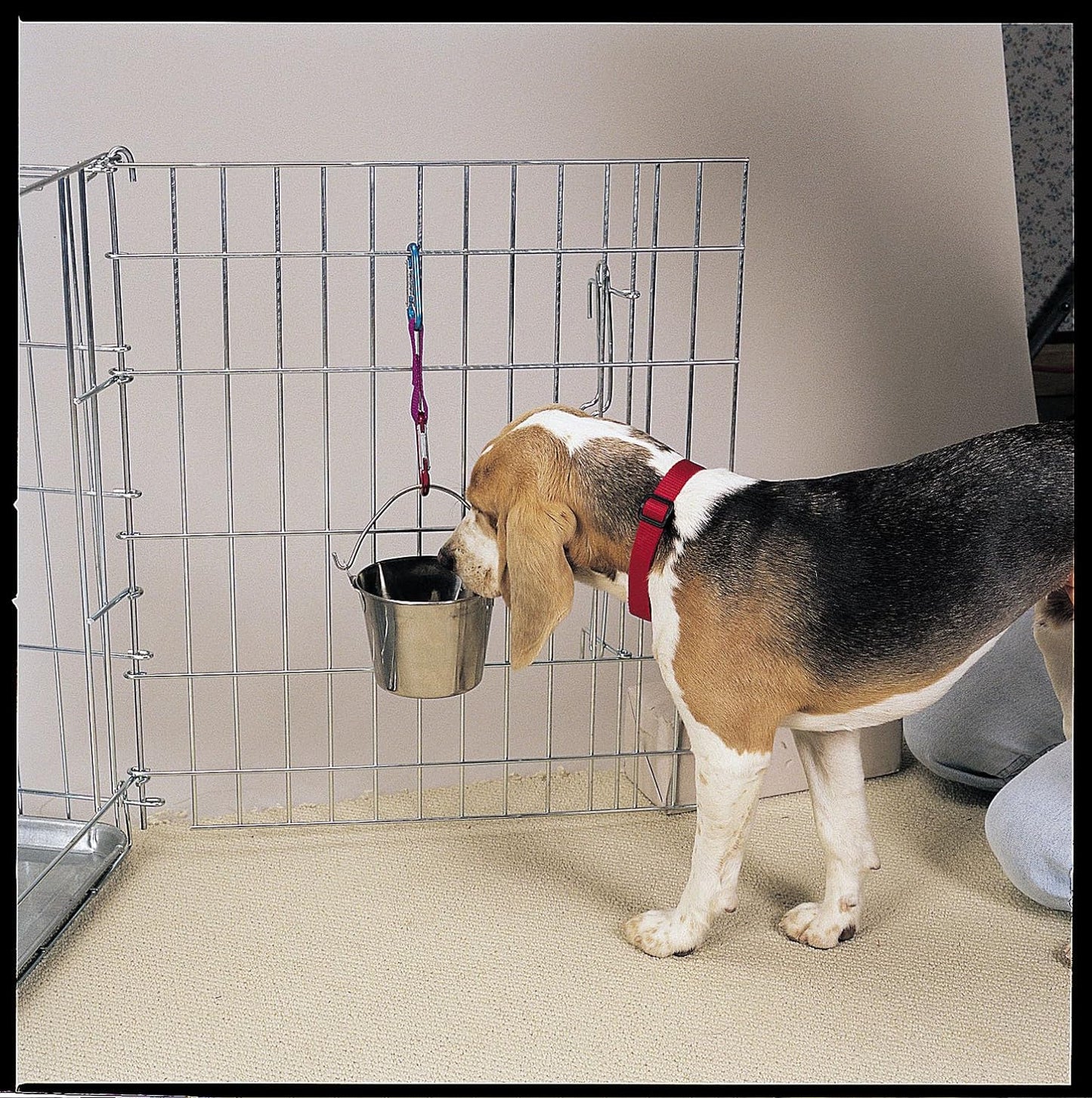 Proselect Stainless Steel Flat Sided Pails — Durable Pails for Fences, Cages, Crates, or Kennels - 6", 2-Quart