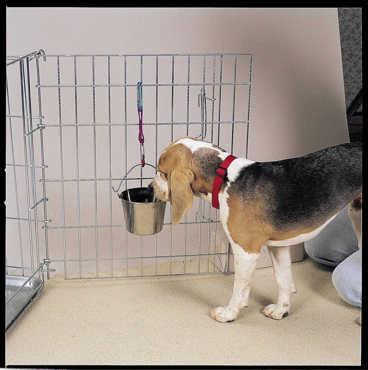 Proselect Stainless Steel Flat Sided Pails — Durable Pails for Fences, Cages, Crates, or Kennels - 6", 2-Quart