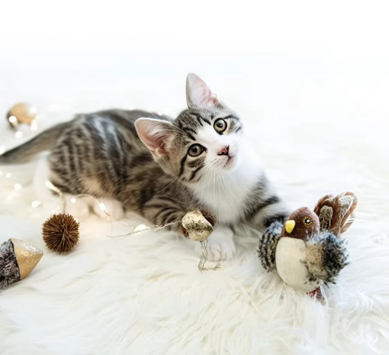 Interactive Cat Toys Electric Squeaky Simulation Bird Plush Cats Pets Teasing Toys With Feather Catnip Kitten Chirping Bird Toys