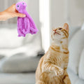 Cat Octopus Polygonum Multiflorum Pet Supplies