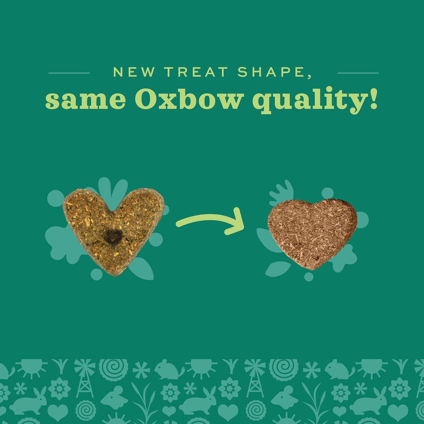 Organic Barley Biscuits Rabbit Treats, Guinea Pig Treats, 2.65 Oz | Organic Bunny Treats with Barley, Apple & Carrot for Rabbits, Guinea Pigs, Hamsters & Chinchillas, Made in USA
