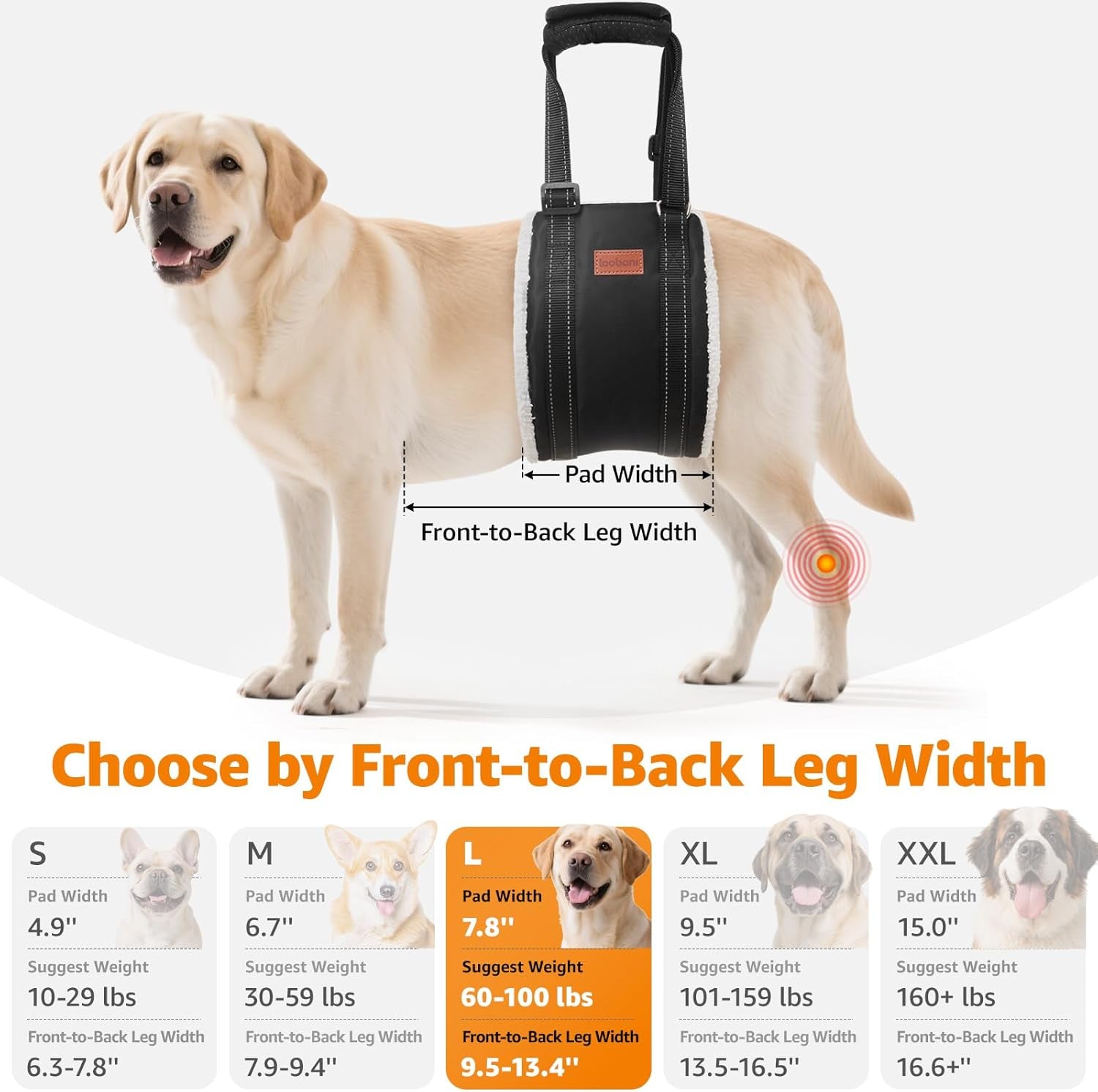 Adjustable Dog Sling for Large Dogs Hind Leg Support ACL Recovery | Walking & Stair Assistance, Senior Dog Mobility, Padded Comfort, Adjustable Fit, Lightweight Nylon, Soft Plush Lining