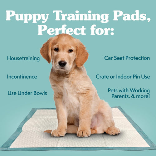 XL Pee Pads for Dogs, Leak Proof Dog Pads, 28X30, 100 Count | Dog Training Pads, Puppy Potty Training, Housebreaking, Disposable Pee Pads, Floor Protection, Indoor Potty, Puppy Essentials