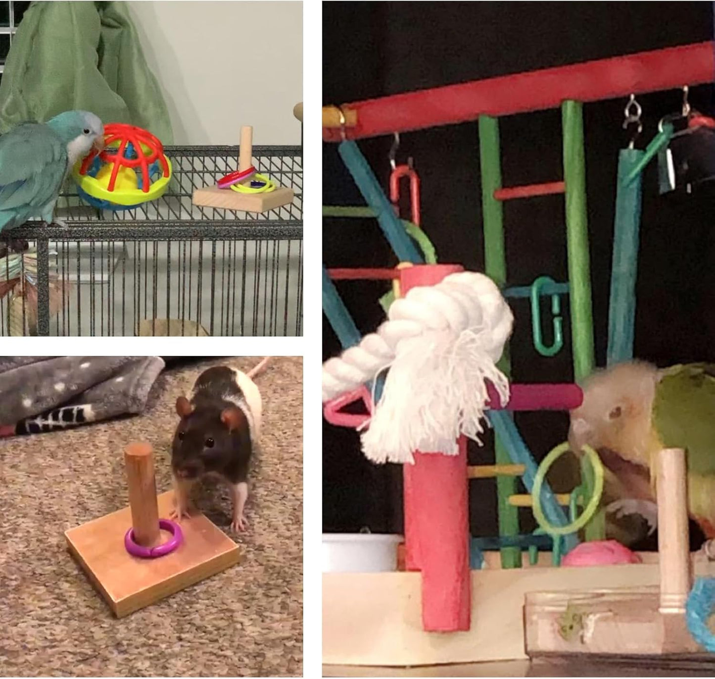 Bird Tabletop Toy, Parrot Activity & Training Trick Color Ring Toys | Budgie Natural Wood Training Gym, Sturdy Chewed Rings, Educational Stacking Playing Toy for Conure Cockatiel, Easy to Install