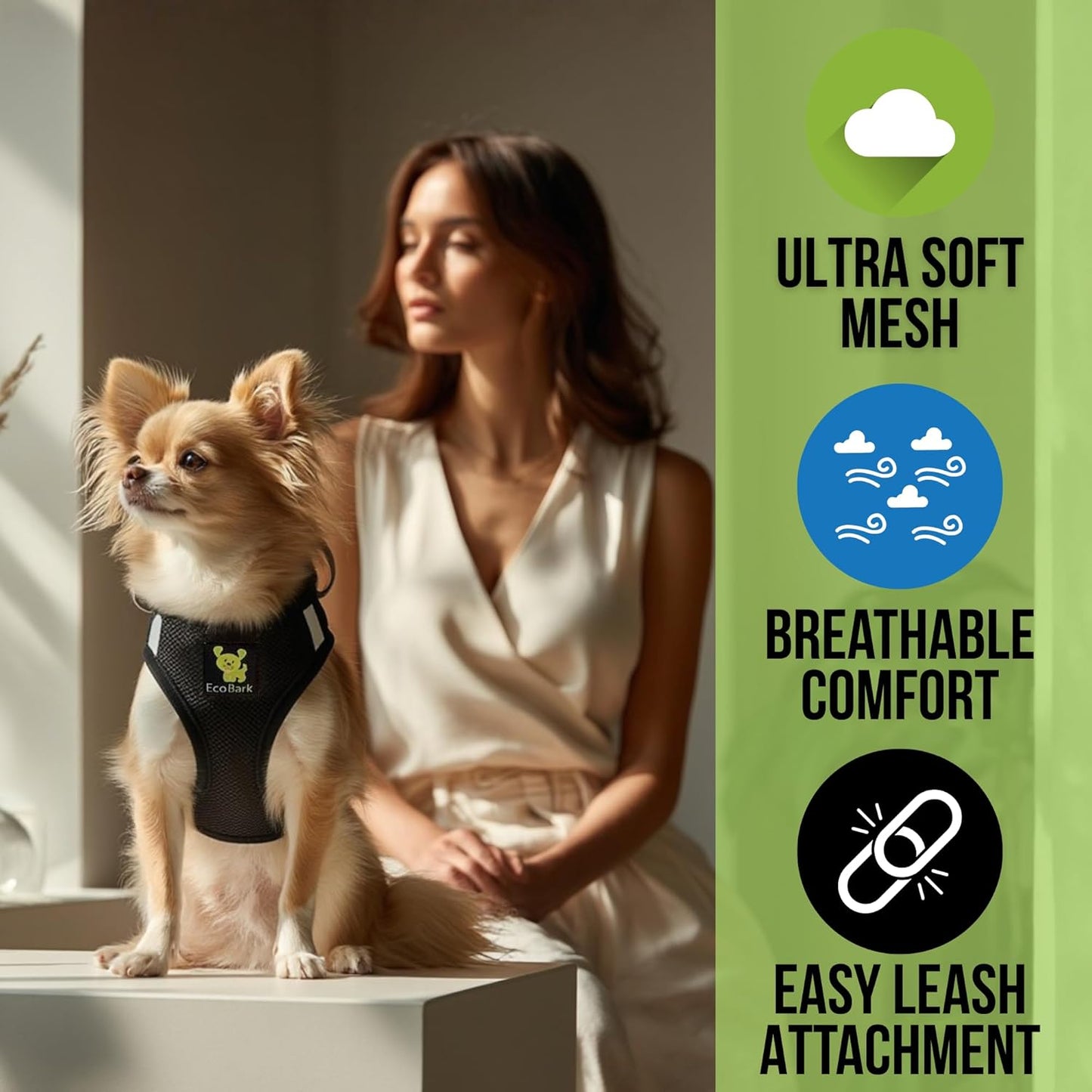 Step in Dog Harness - Eco-Friendly Teacup Dog Harnesses for XXS, XS, and Small Dogs - Reflective and Adjustable Mini Body Halter Vest -Tiny Soft Mesh Toy Breed Harness under 5 Lbs (Black, XXS)