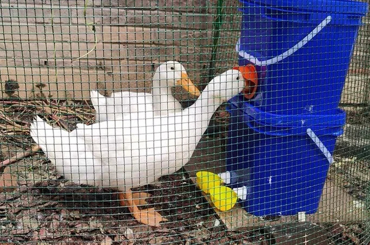 Fully Automatic Chicken Water Dispenser, Duck and Goose Water Cup Kit, Poultry Water Dispenser