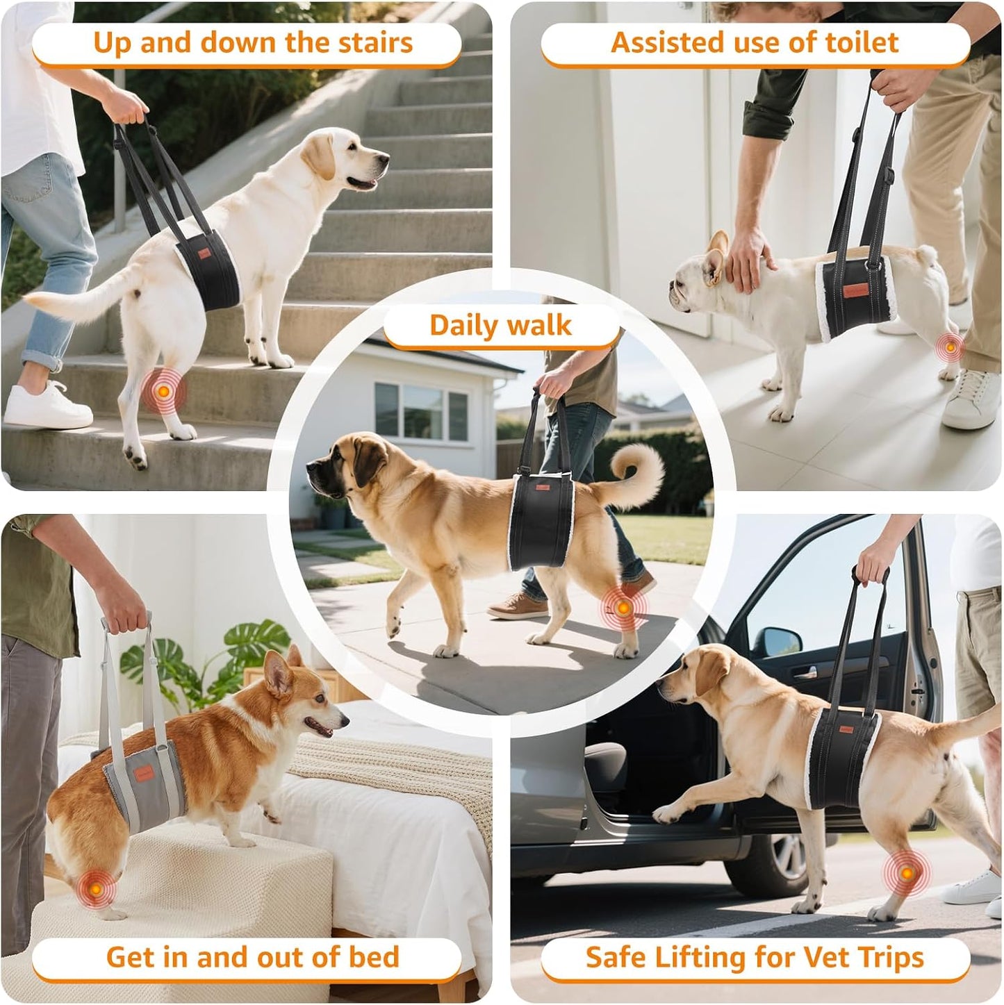 Adjustable Dog Sling for Large Dogs Hind Leg Support ACL Recovery | Walking & Stair Assistance, Senior Dog Mobility, Padded Comfort, Adjustable Fit, Lightweight Nylon, Soft Plush Lining