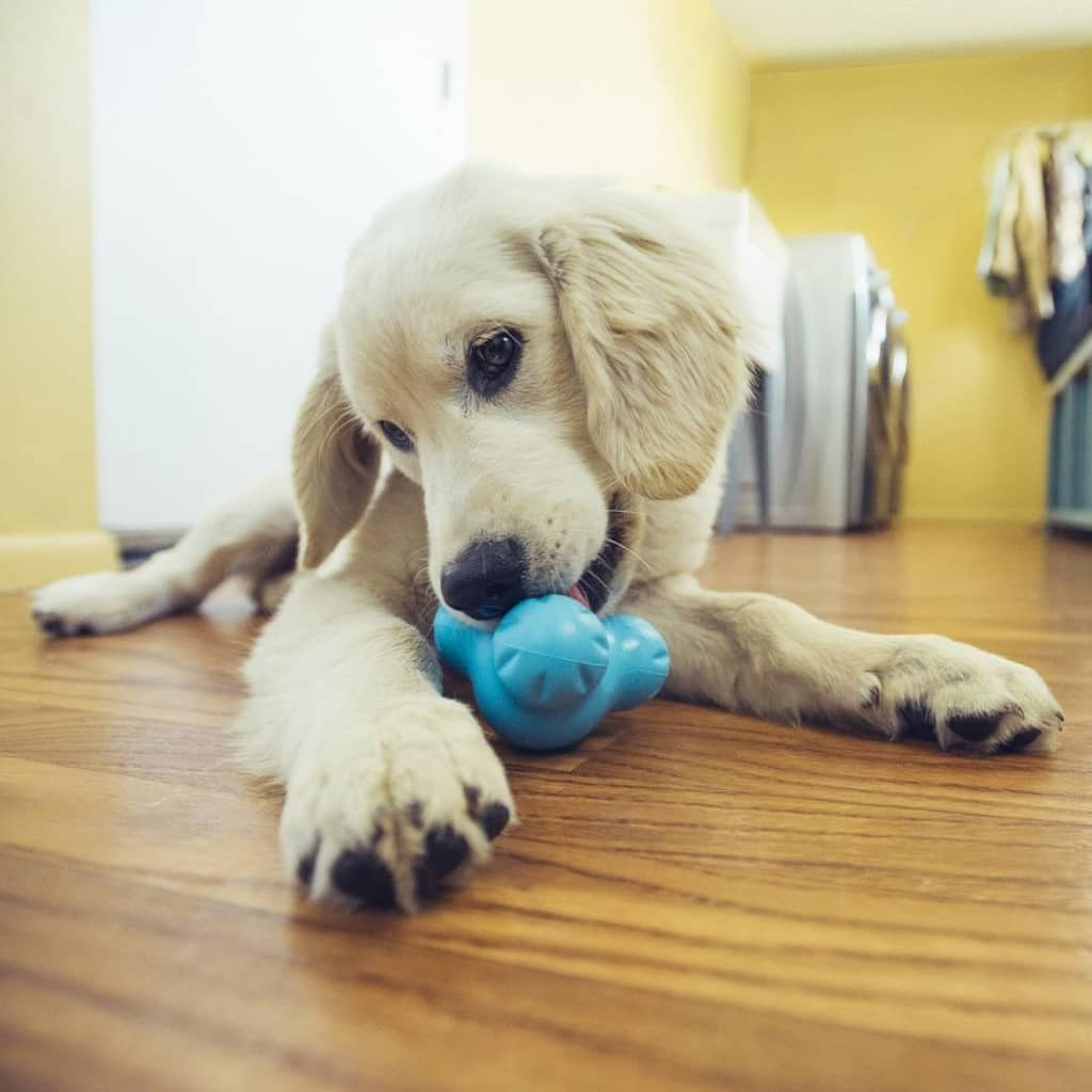 Zogoflex Tux Treat Dispensing Dog Chew Toy – Interactive Chewing Toy for Dogs – Dog Games for Aggressive Chewers, Fetch, Catch – Holds Kibble, Treats, Small 4", Aqua Blue