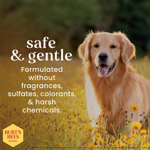 Honey Multipurpose Dog Grooming Wipes, Gentle Hypoallergenic Spot Cleaning Sheets, Ph Balanced Natural Origin Formula for Paws, Face and Butt, 50 Count | Honey Formula, Hypoallergenic Spot-Cleaning, Ph Balanced, Paws Face and Butt