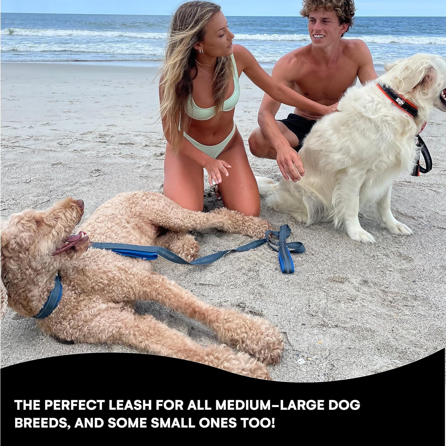 6 Ft Long Heavy Duty Dog Leash with Traffic Handle for Medium and Large Dogs - Padded Neoprene Dual Handles, Bag and Clip - Reflective, Durable, and Weather Resistant - Green