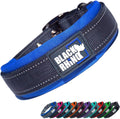 Dog Collars for Medium Dogs - Adjustable Reflective Heavy Duty Dog Collar with Ultra-Soft Neoprene Padding - Weatherproof, Durable, and Comfortable - Ideal for Active Dogs - Blue and Gray