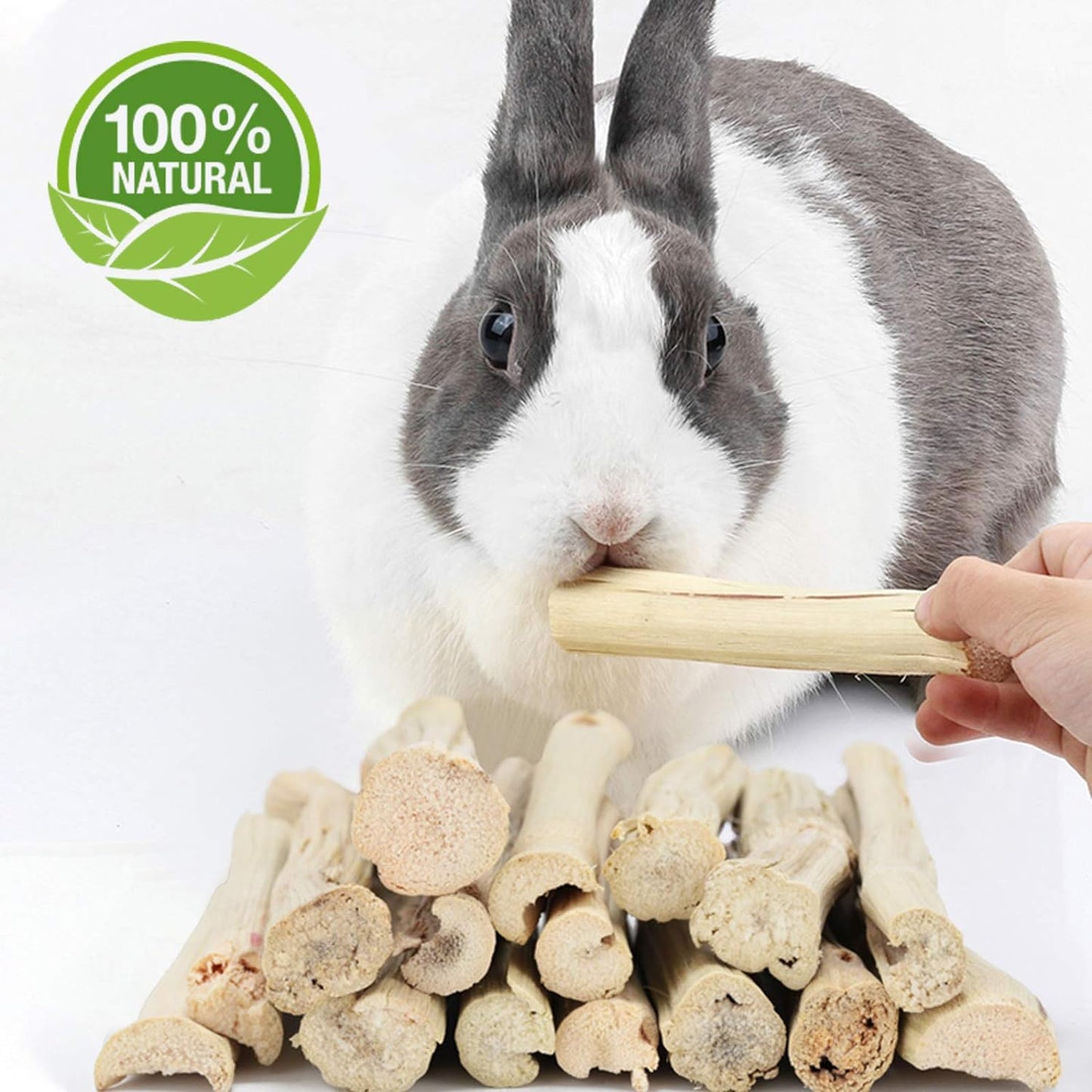 500G Sweet Bamboo Chews for Rabbits, Rabbit Chew Toys Bamboo Sticks | Rabbit Bamboo Chew Sticks, Bamboo Sticks for Rabbits, Bamboo for Rabbits, about 50-60 Sticks, 3.94 In, Rabbits Guinea Pigs