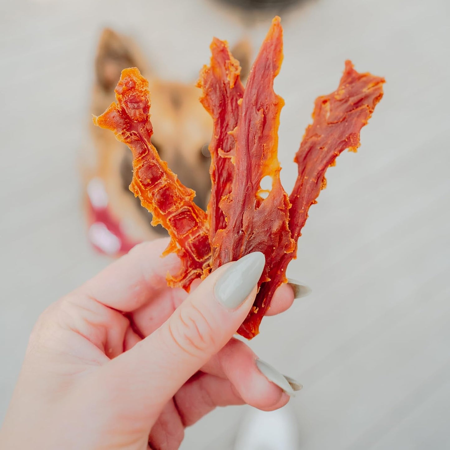 Gourmet Duck Breast Dog Jerky Treats, 2.5 Lbs | Made with Real Duck, Dog Treats for Training, High Protein, Natural & Healthy Dog Treats for Small & Large Breeds