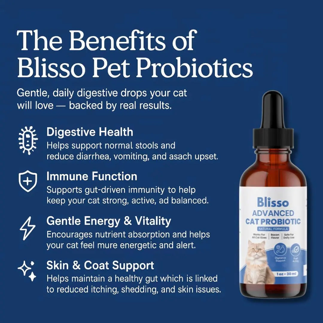 Cat Probiotic Drops: Essential Digestive Support for Happy, Healthy Cats