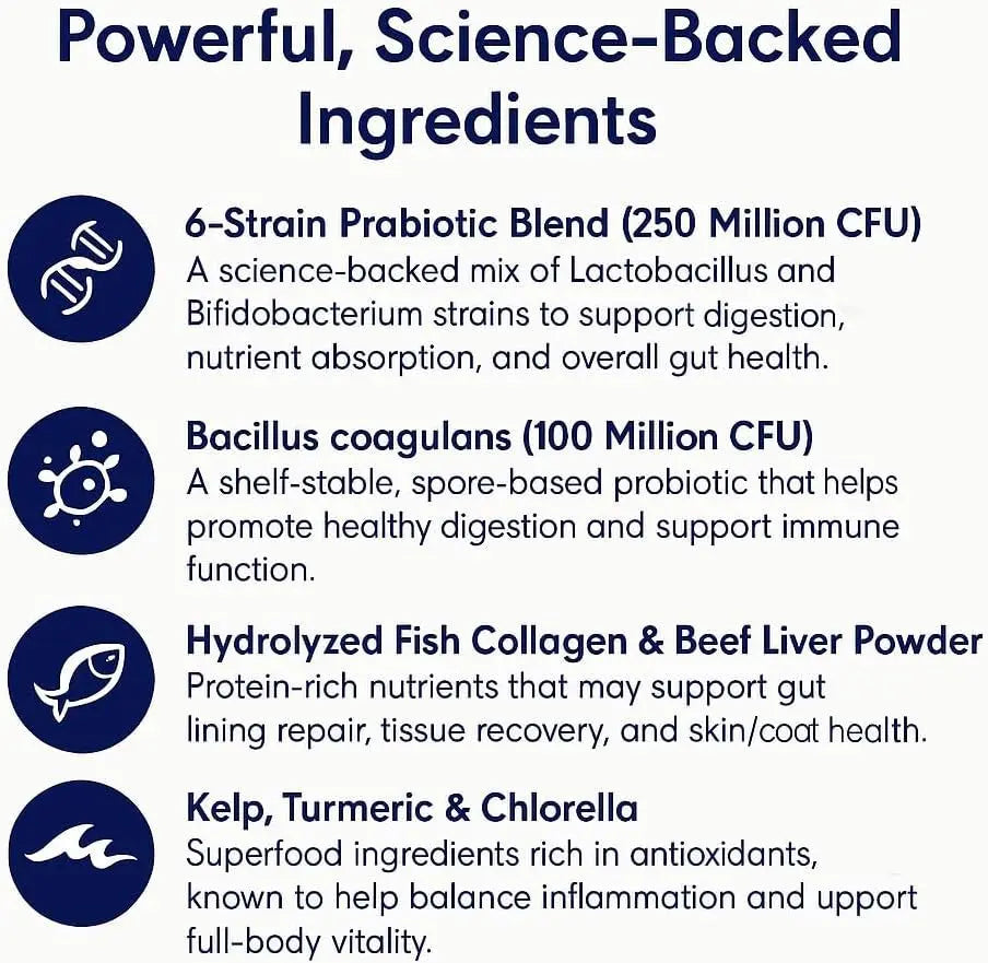 Cat Probiotic Drops: Essential Digestive Support for Happy, Healthy Cats