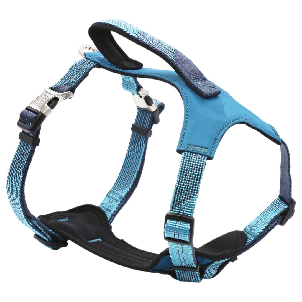 Pet Life ® 'Geo-prene' 2-in-1 Shock Absorbing Neoprene Padded Reflective Dog Leash and Harness