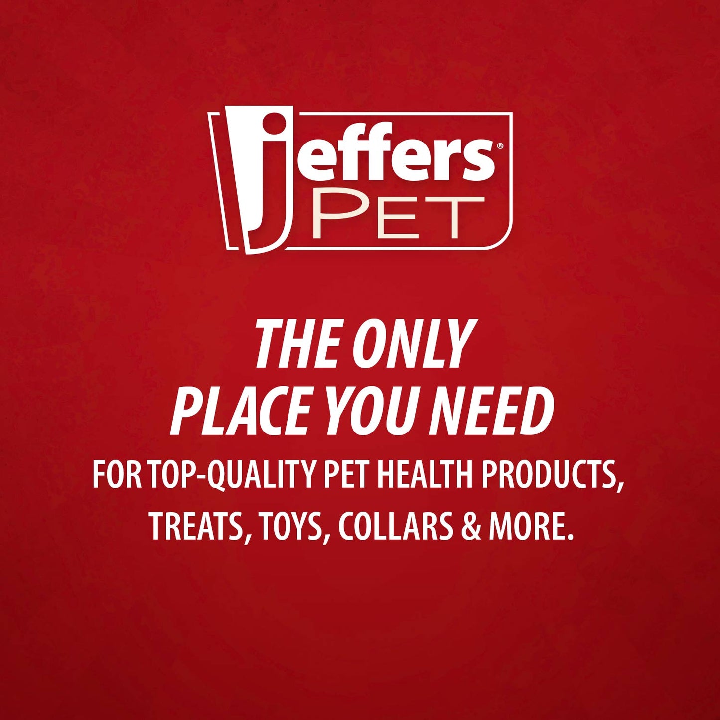 Jeffers Hollow Red Knobby Ball Natural Rubber Dental Treat Dispensing Dog Chew Toy