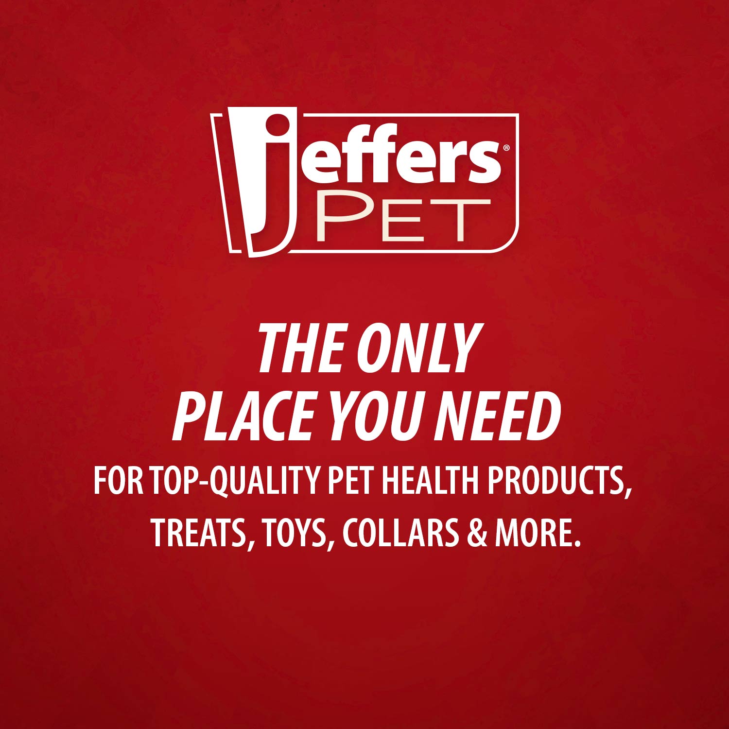 Jeffers Bowling Pin Natural Rubber Treat Dispensing Dental Chew Toy for Dogs