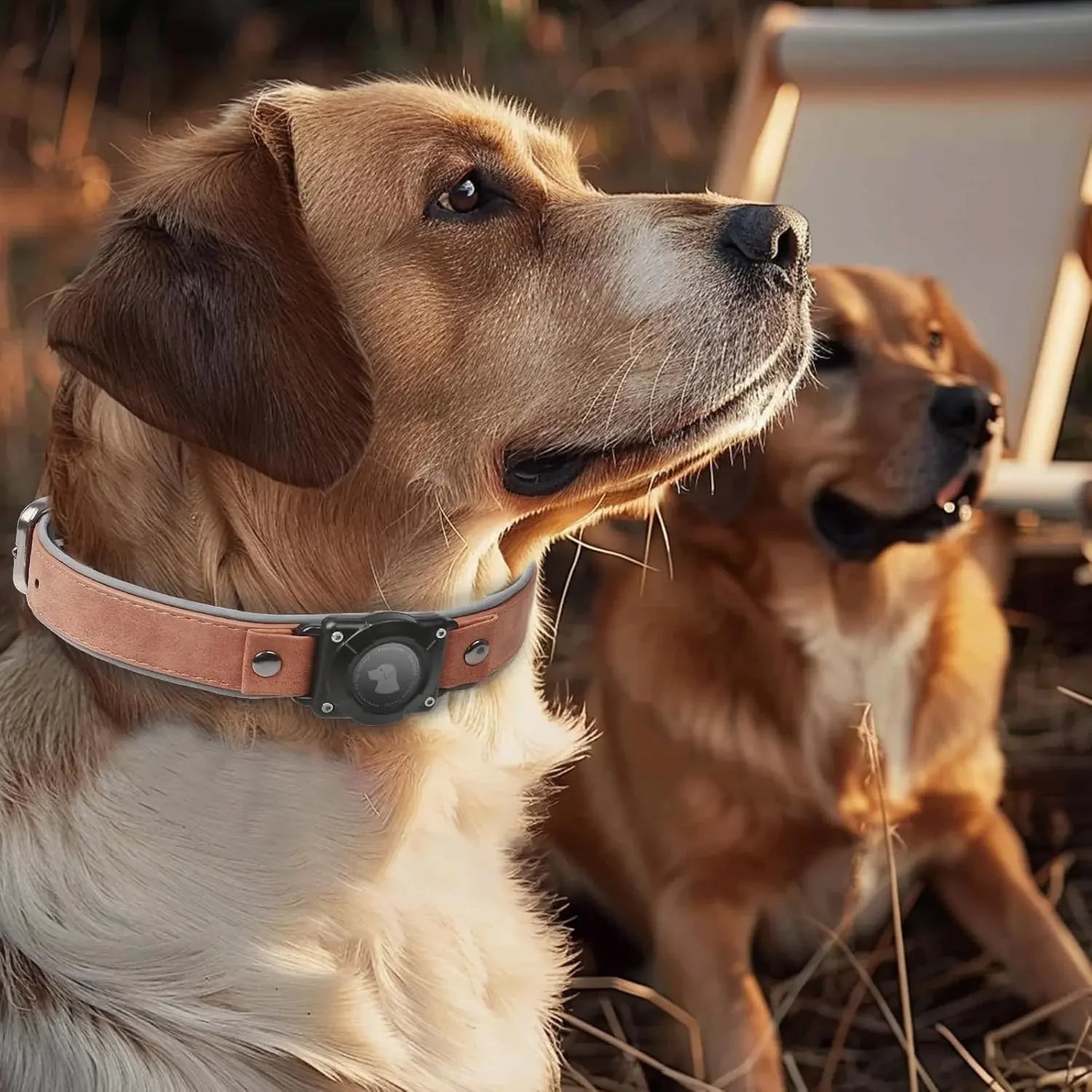 Leather AirTag Dog Collar - Elegant Design with Built-In Holder for Enhanced Pet Safety
