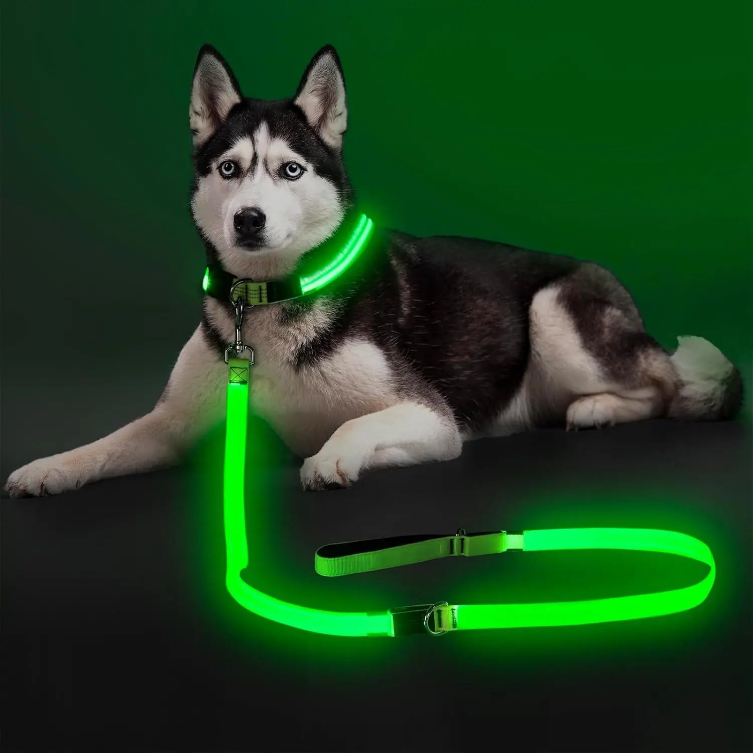 Light Up LED Dog Leash 6FT – USB Rechargeable Glow Leash for Night Safety