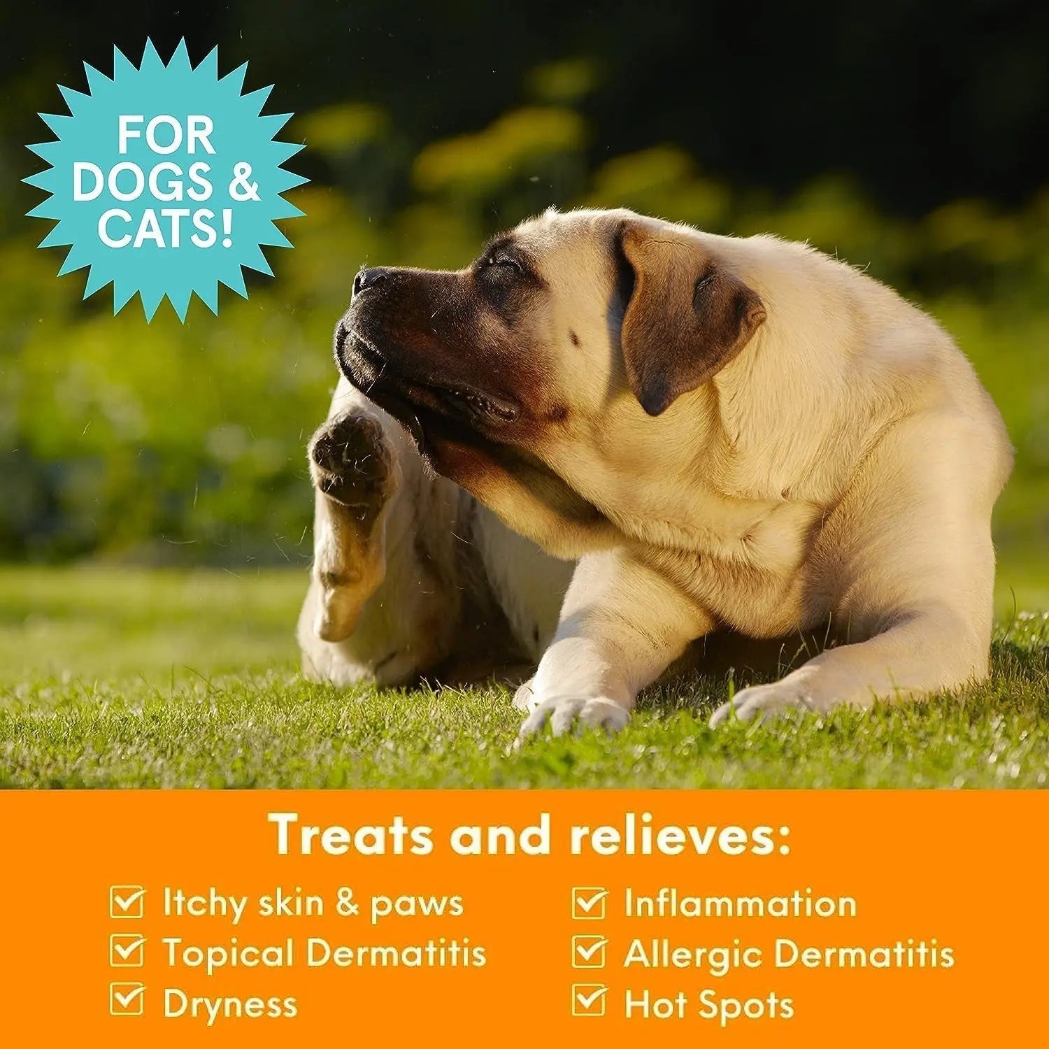Nootie Medicated Anti-Itch Spray Dogs Cats 1% Pramoxine 1% Lidocaine 8oz
