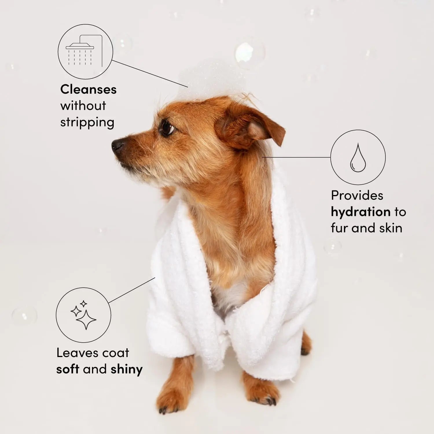 OUAI Fur Baby Pet Shampoo Mercer Street Scent Hydrating Dog Wash 16oz
