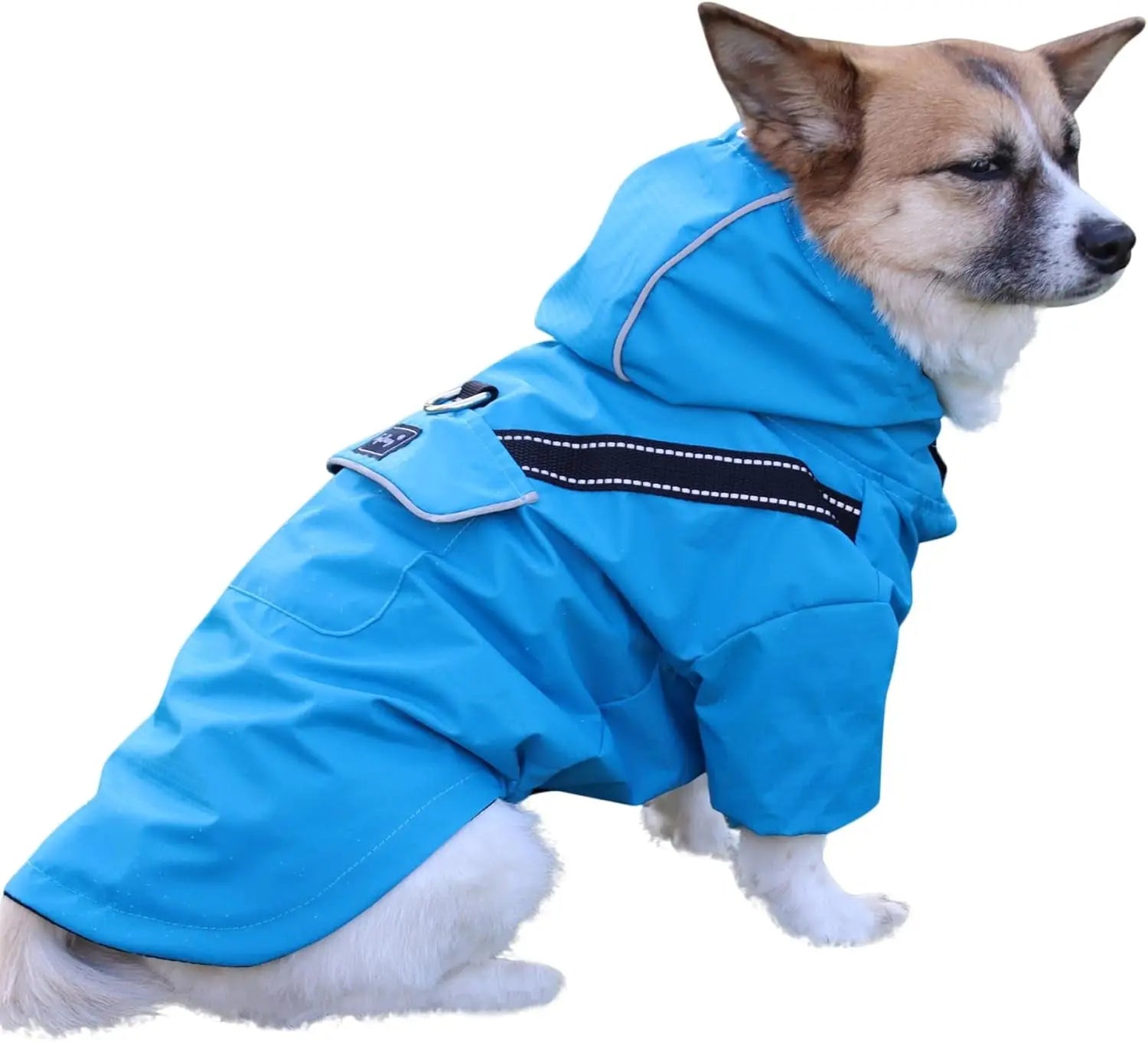 Outdoor Waterproof Dog Raincoat w/ Hood Reflective Sizes XS–XL in 4 Colors