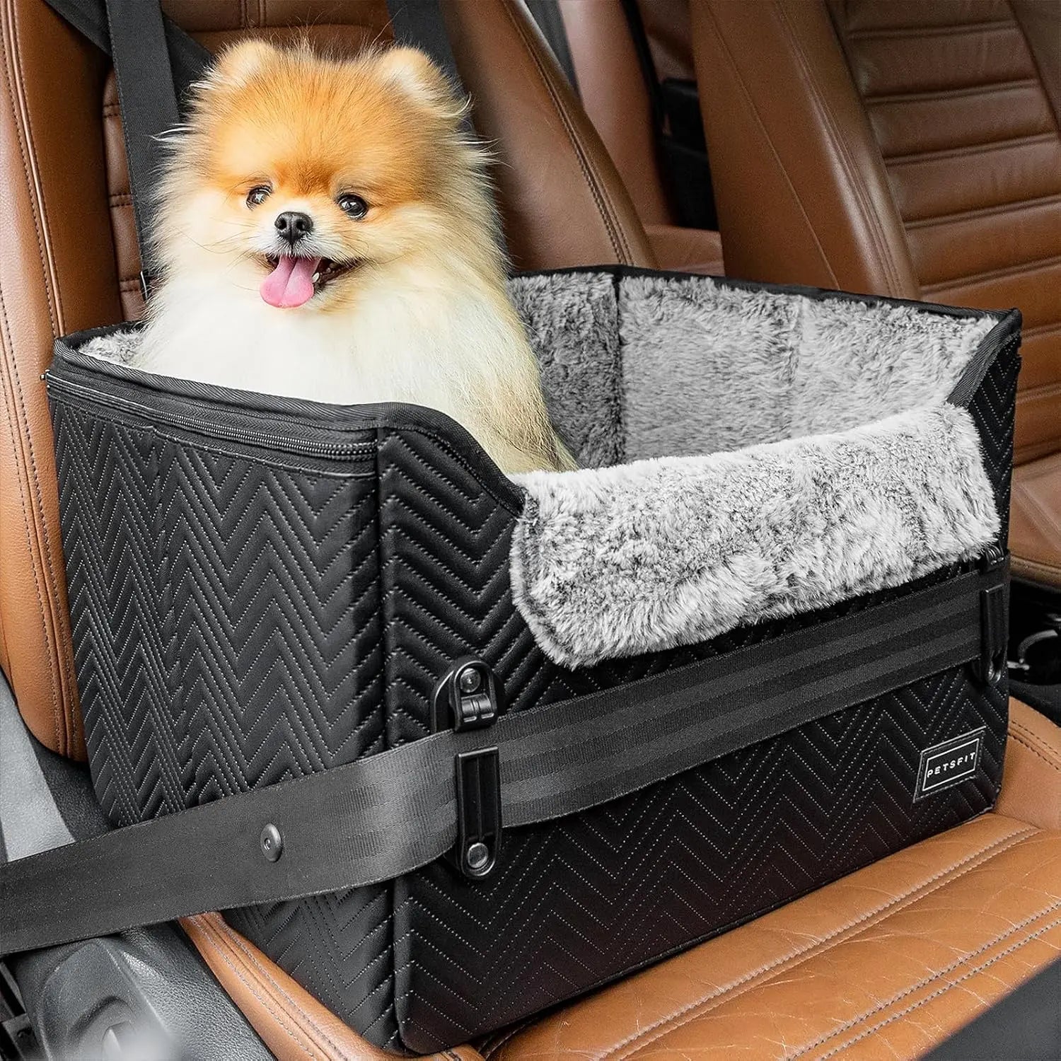PETSFIT Small Dog Booster Car Seat with Safety Buckles & Tether, Foldable