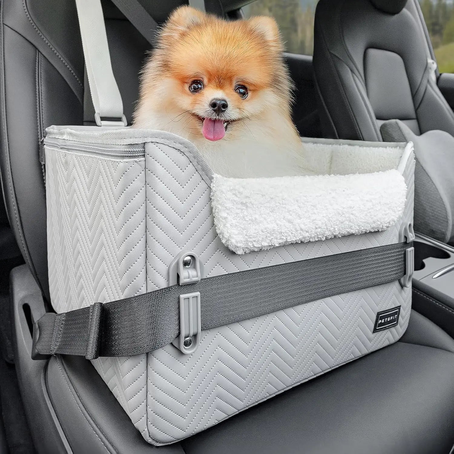 PETSFIT Small Dog Booster Car Seat with Safety Buckles & Tether, Foldable