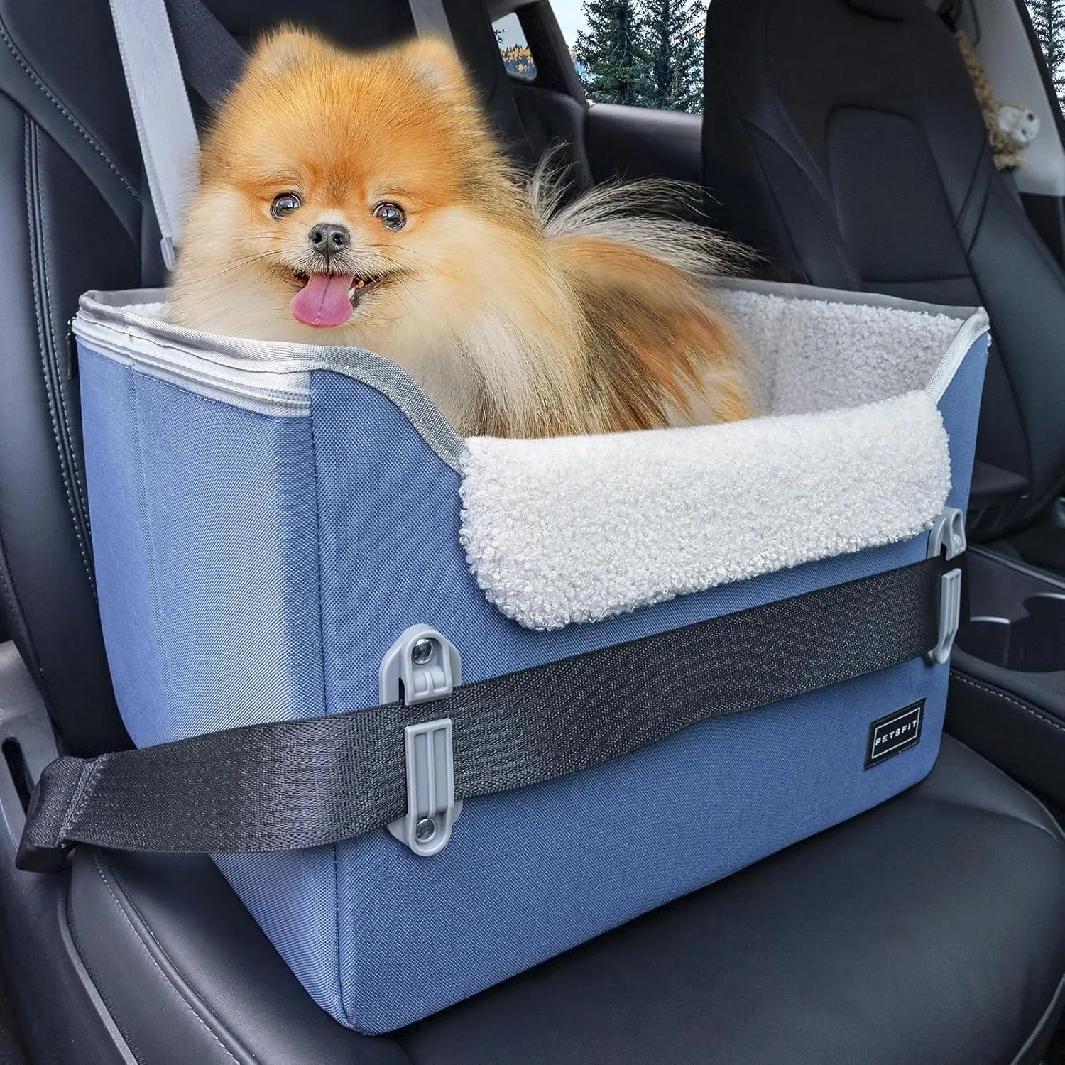 PETSFIT Small Dog Booster Car Seat with Safety Buckles & Tether, Foldable