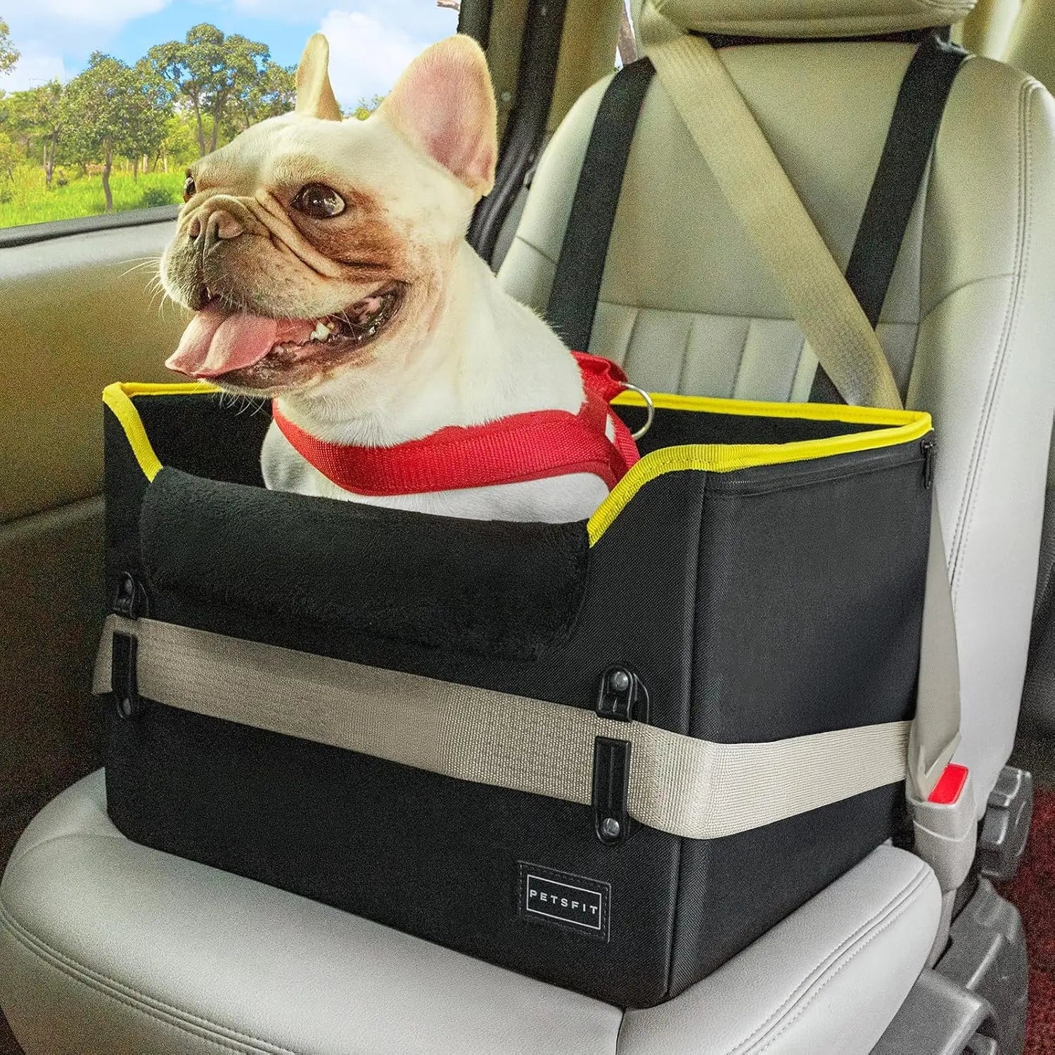 PETSFIT Small Dog Booster Car Seat with Safety Buckles & Tether, Foldable