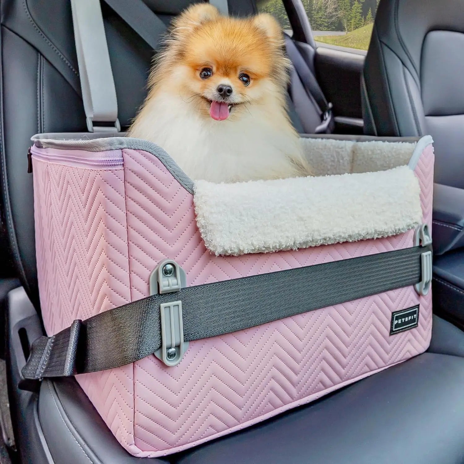 PETSFIT Small Dog Booster Car Seat with Safety Buckles & Tether, Foldable