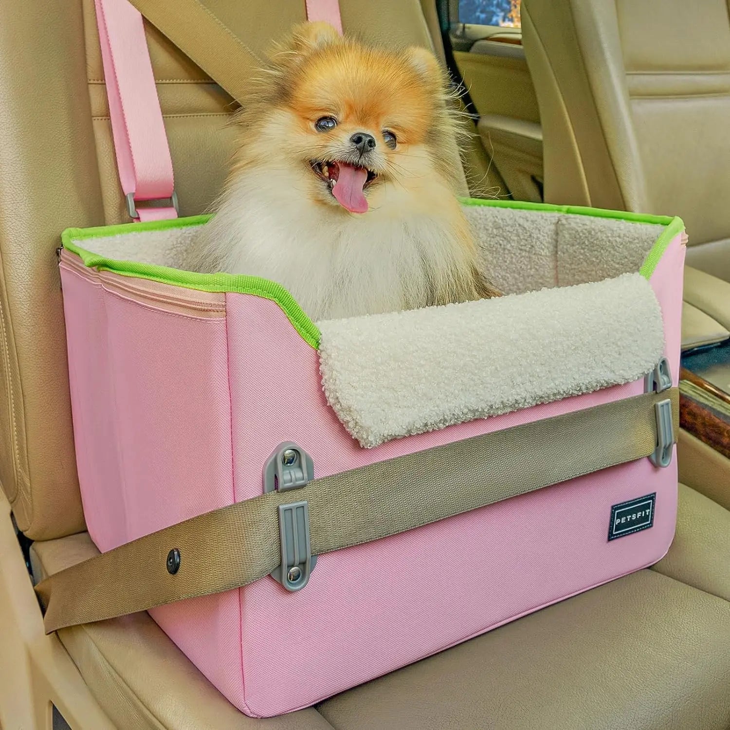 PETSFIT Small Dog Booster Car Seat with Safety Buckles & Tether, Foldable