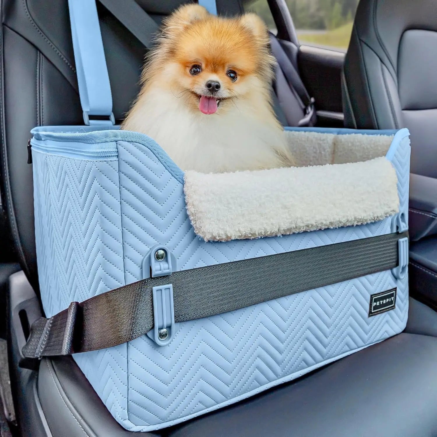 PETSFIT Small Dog Booster Car Seat with Safety Buckles & Tether, Foldable