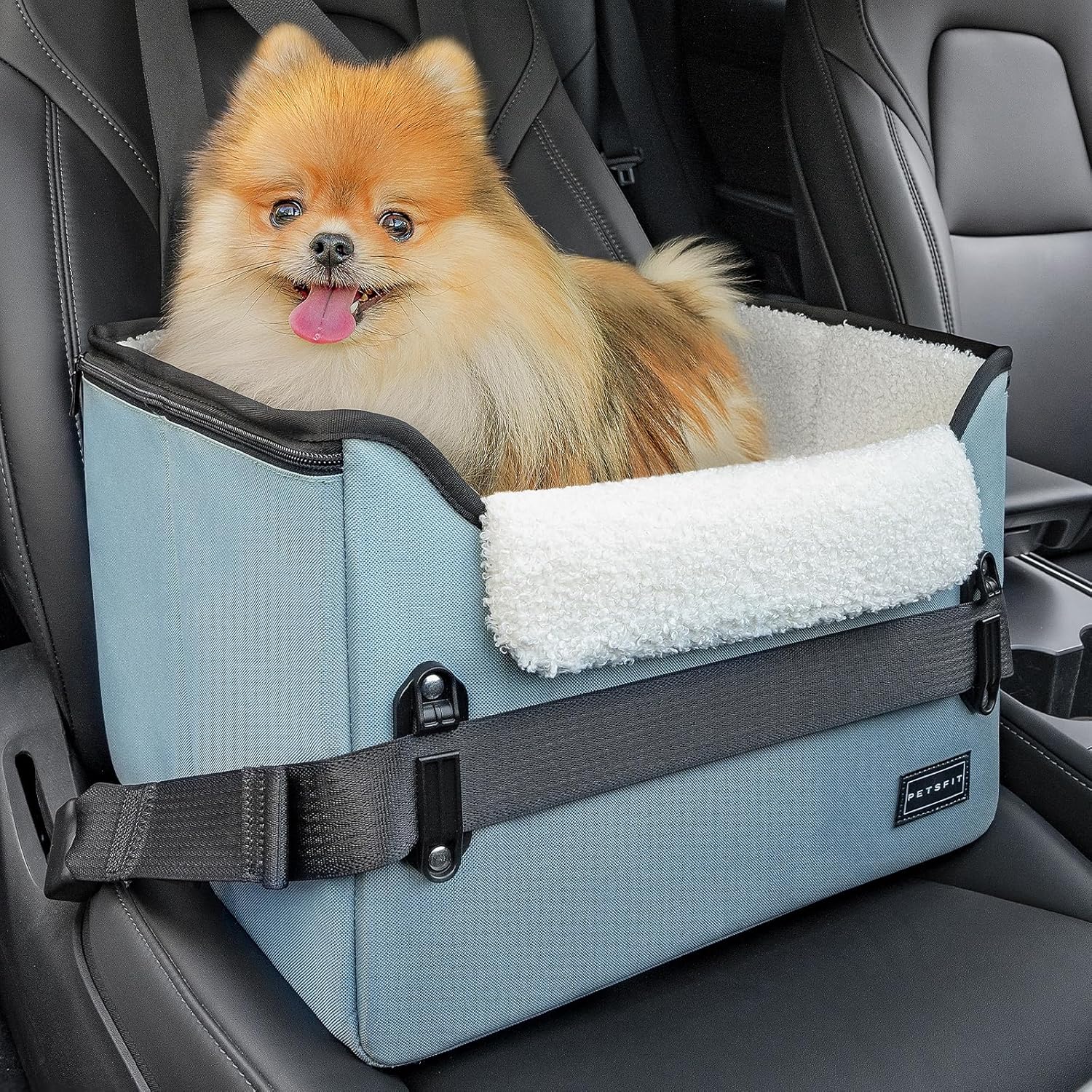 PETSFIT Small Dog Booster Car Seat with Safety Buckles & Tether, Foldable