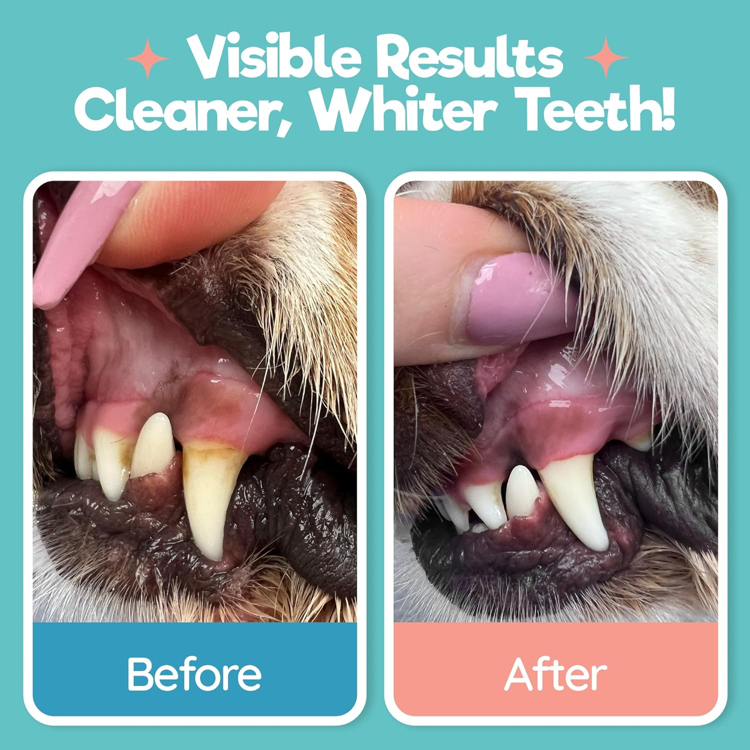 Pet Dental Wipes Dog Cat Teeth Cleaning Plaque Tartar Breath Freshener 55Ct