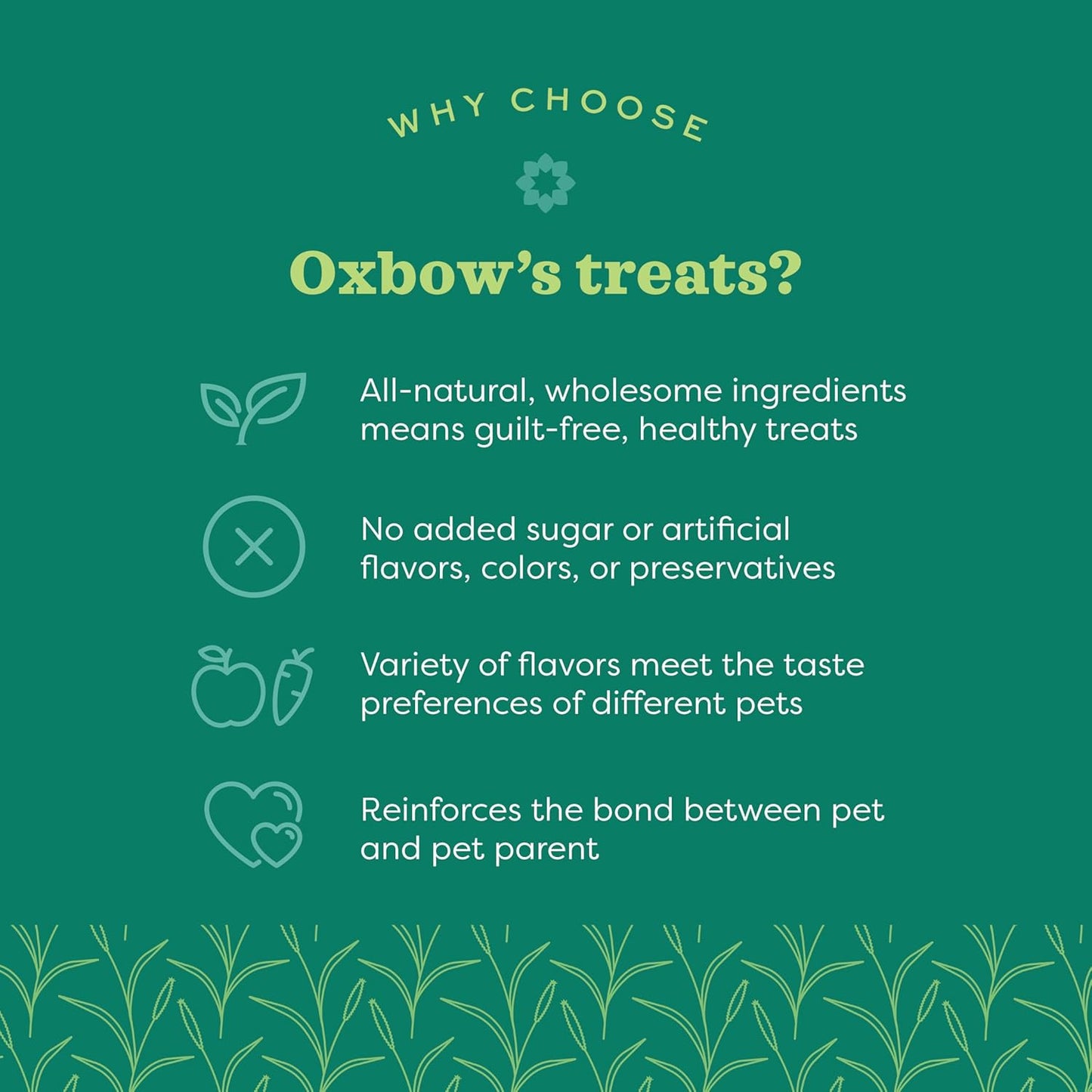 Organic Barley Biscuits Rabbit Treats, Guinea Pig Treats, 2.65 Oz | Organic Bunny Treats with Barley, Apple & Carrot for Rabbits, Guinea Pigs, Hamsters & Chinchillas, Made in USA